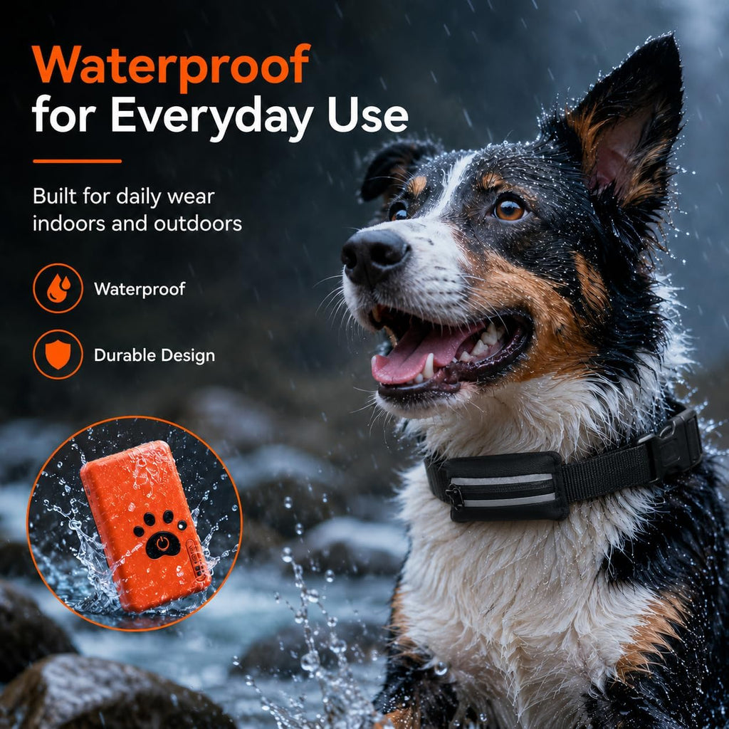 CLVIOR Smart Dog Health Monitoring Collar(No Monthly fee)