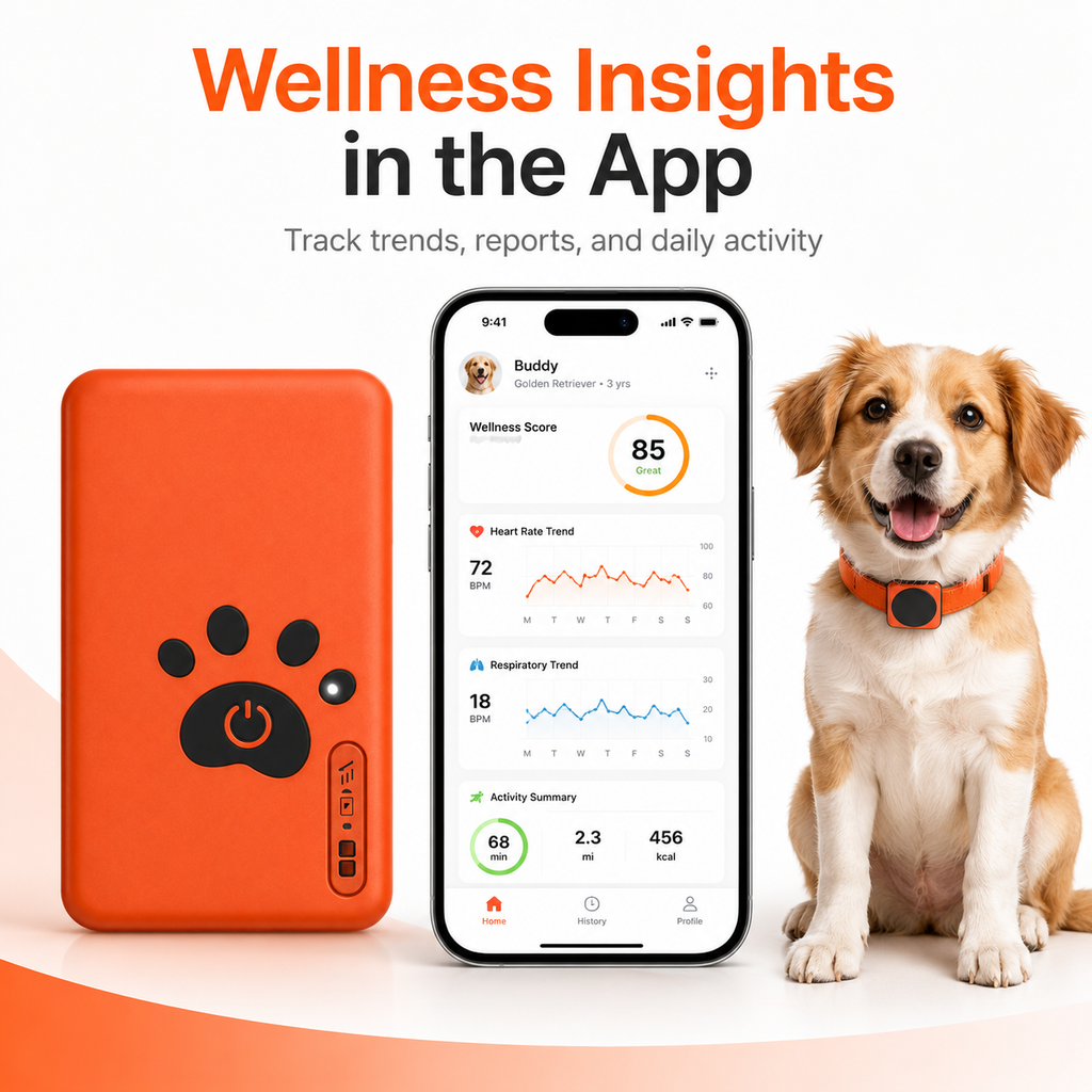 CLVIOR Smart Dog Health Monitoring Collar(No Monthly fee)