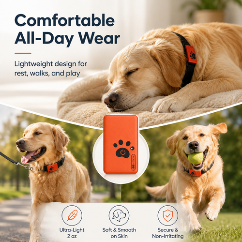 CLVIOR Smart Dog Health Monitoring Collar(No Monthly fee)