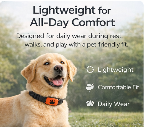 CLVIOR Smart Dog Health Monitoring Collar(No Monthly fee)